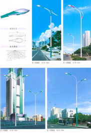 南京照明 盛景華成工程照明 路燈 18