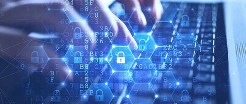 網(wǎng)絡(luò)技術(shù)服務(wù)市場(chǎng)的規(guī)模與機(jī)遇